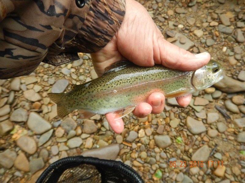-Kettle Valley-072-.jpg - On the way to the car I had to try just one more hole.  This rainbow rewarded my efforts.